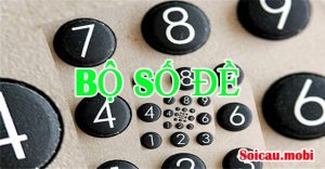 Các bố số đề cơ bản